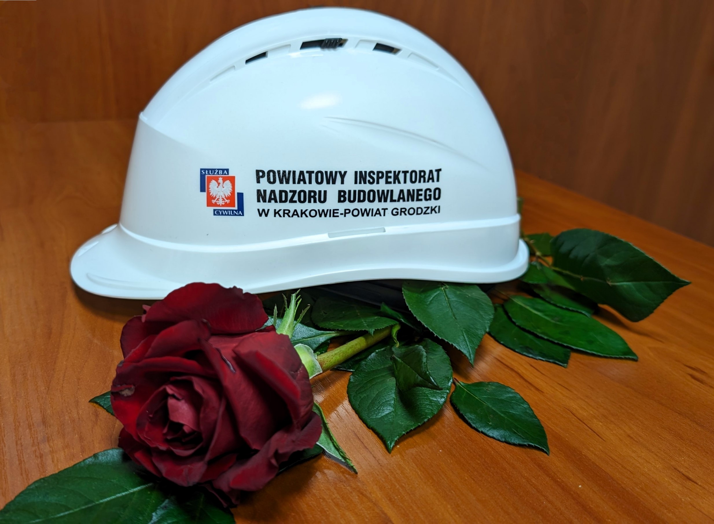 Biały kask Powiatowego Inspektoratu Nadzoru Budowlanego w Krakowie - Powiat Grodzki i czerwona róża